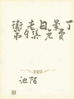 卫老日晕了淑蓉第9集免费