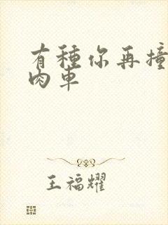 有种你再撞一下肉车