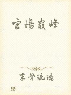官场巅峰