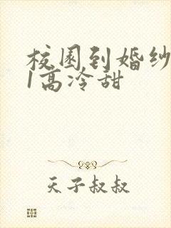 校园到婚纱1V1高冷甜