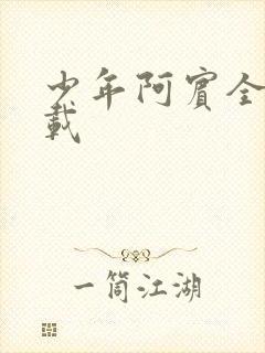 少年阿宾全集下载