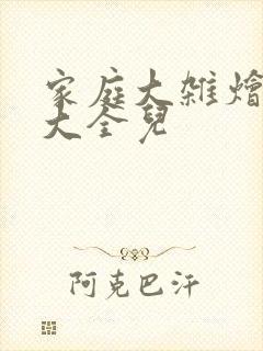 家庭大杂烩小说大全儿