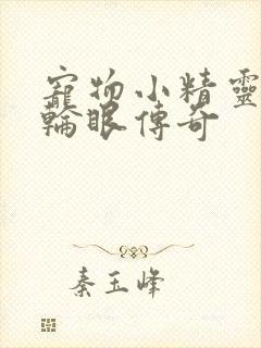 宠物小精灵之写轮眼传奇