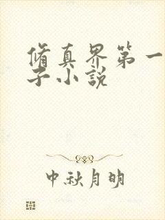 修真界第一病秧子小说