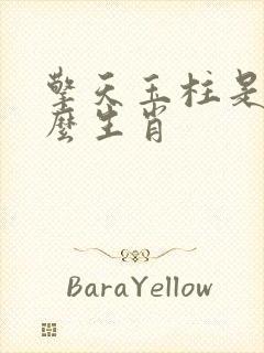 擎天玉柱是指什么生肖