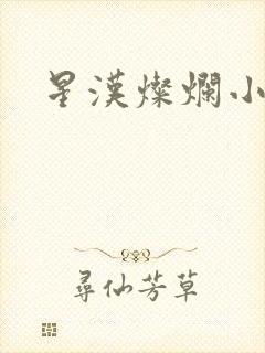 星汉灿烂小说