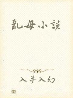 乱母小说