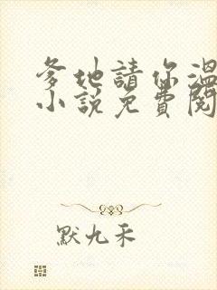 爹地请你温柔点小说免费阅读