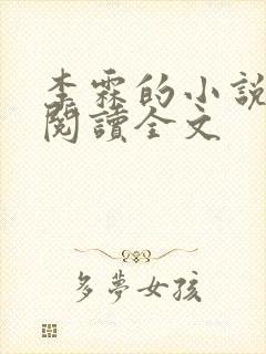 李霖的小说免费阅读全文