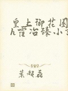 皇上御花园hlh霍冶臻小说