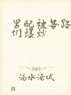 男配被各路大佬们爆炒