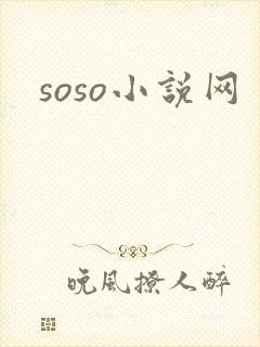 soso小说网