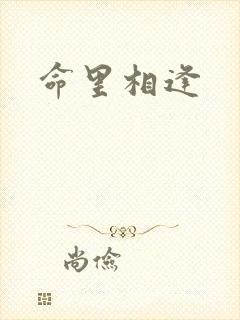 命里相逢