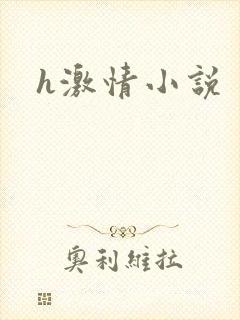 h激情小说