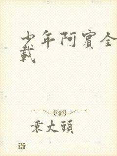 少年阿宾全集下载