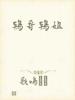 鸨哥鸨姐