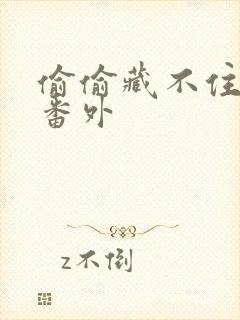 偷偷藏不住新婚番外