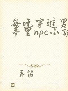 每晚穿进男神的梦里npc小说