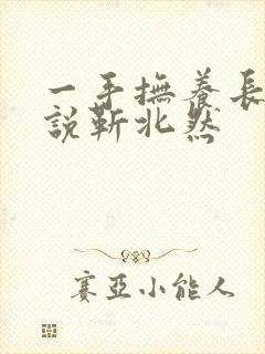 一手抚养长大小说靳北然