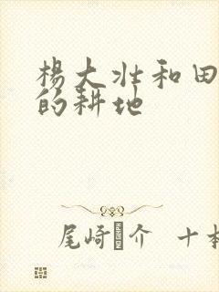 杨大壮和田桂花的耕地