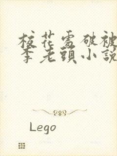 校花处破被灌满李老头小说