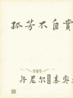 孤芳不自赏小说