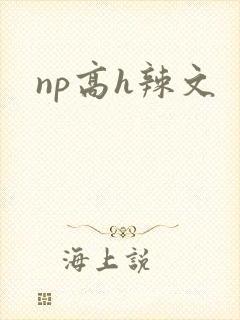 np高h辣文