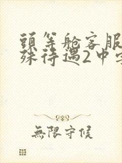 头等舱客服的特殊待遇2中字