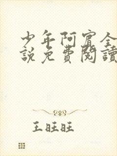 少年阿宾全文小说免费阅读笔趣阁