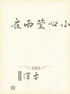 夜雨莹心小说