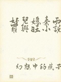 好儿媳秦雨罗明罗兴旺小说