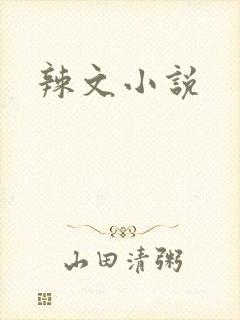 辣文小说