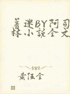 着迷BY阿司匹林小说全文免费阅读