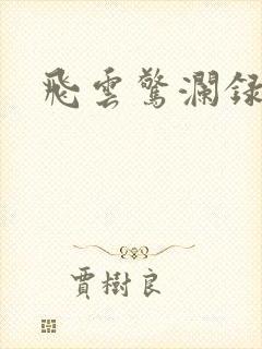飞云惊澜录