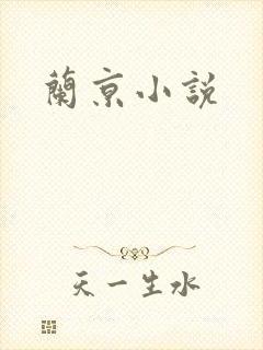 兰京小说
