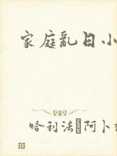 家庭乱日小说