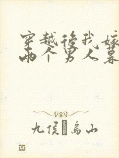 穿越后我嫁给了两个男人暮色酒歌