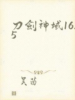 刀剑神域16.5