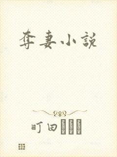 夺妻小说