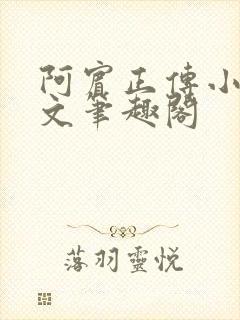 阿宾正传小说全文笔趣阁