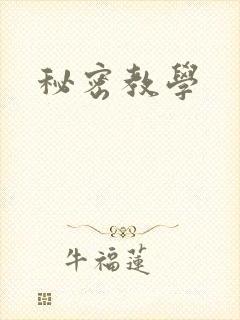秘密教学