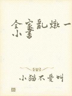 全家乱炖一锅烩小书