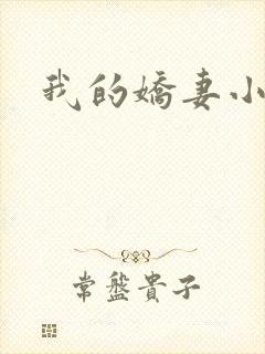 我的娇妻小说