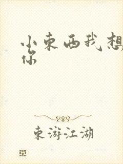 小东西我想弄坏你