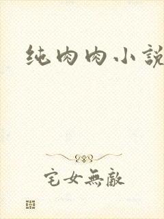 纯肉肉小说