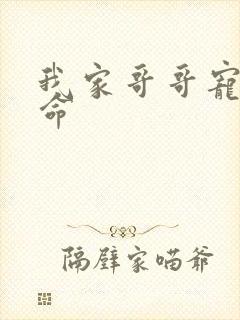 我家哥哥宠妹如命