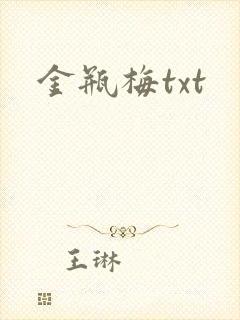 金瓶梅txt