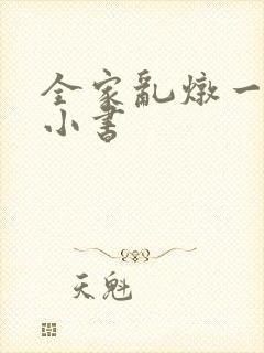 全家乱炖一锅烩小书