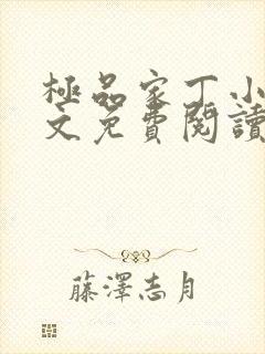 极品家丁小说全文免费阅读