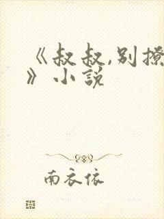 《叔叔,别撩我》小说